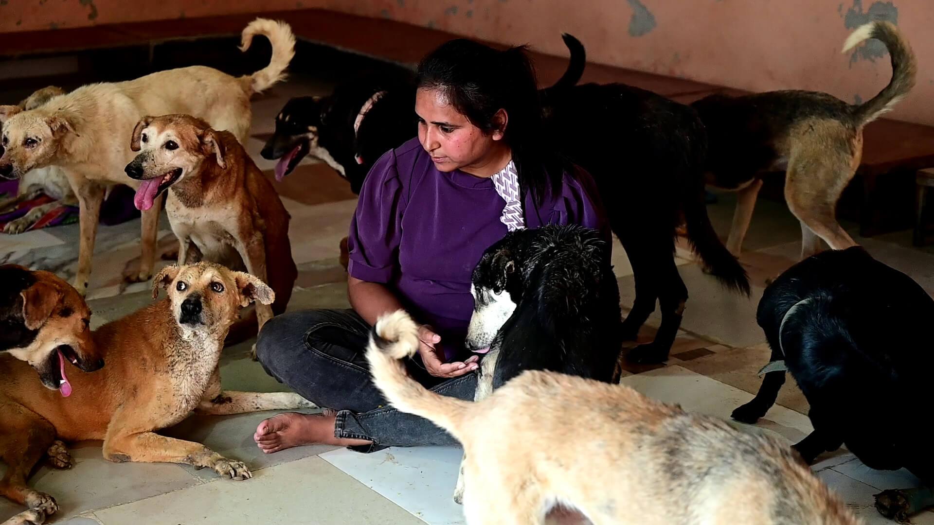Grateful animals